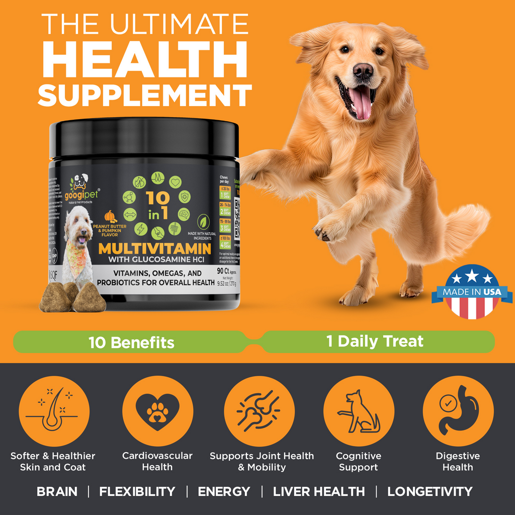 Dog multivitamin chew jar on orange label, with golden retriever posing