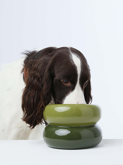 Avocado green soufflé-style pet bowl, stacked two-tier design with glossy finish