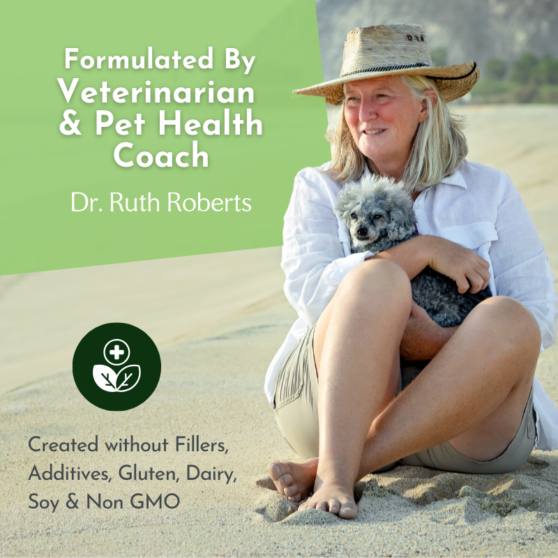 Pet health multivitamin promotion with trainer and small dog