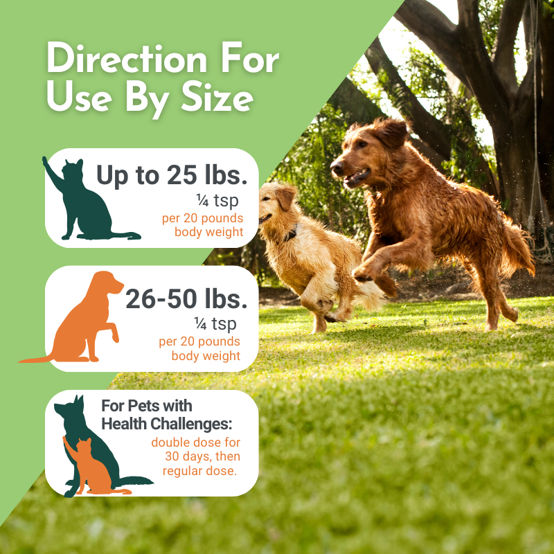 Pet multivitamin dosing guide with dog size icons and serving amounts