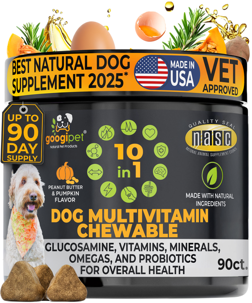 Dog multivitamin chew jar with black label, 10-in-1 formula, peanut butter pumpkin flavor