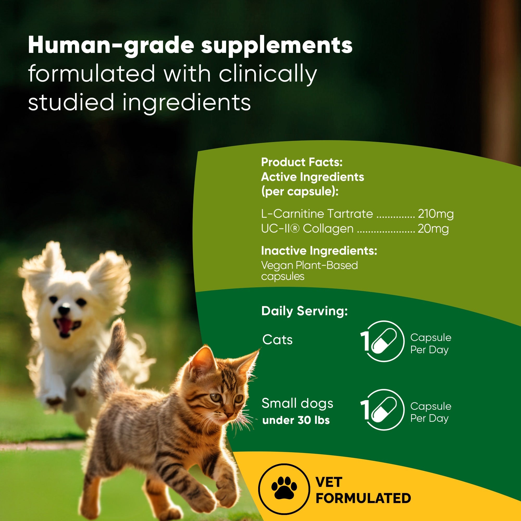 Green product facts panel for joint and muscle health supplement with serving icons