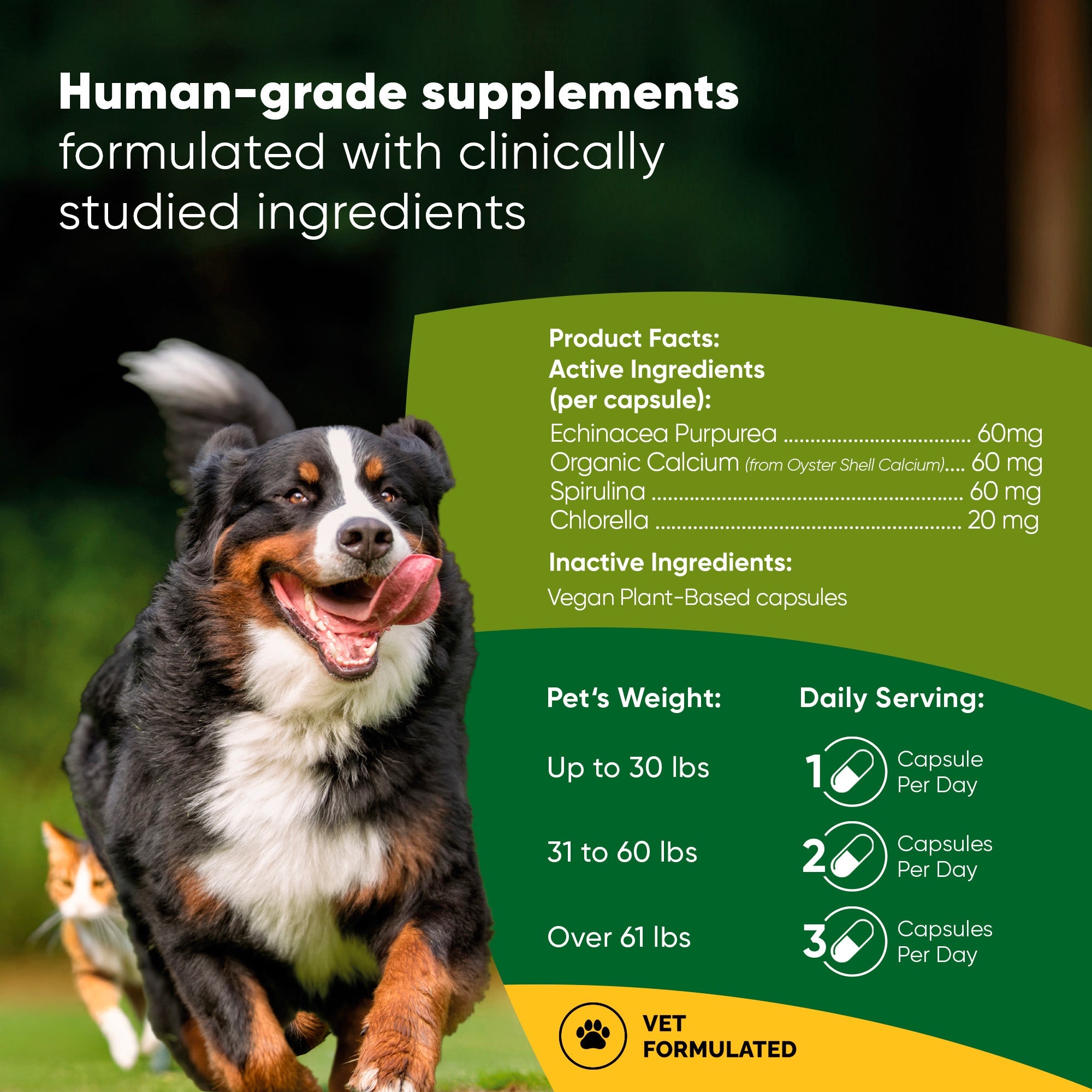 Dog-focused supplement product facts panel with active ingredient list and capsules info