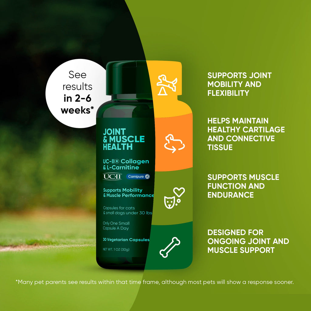 Green joint and muscle health supplement bottle with benefit callouts on side panel