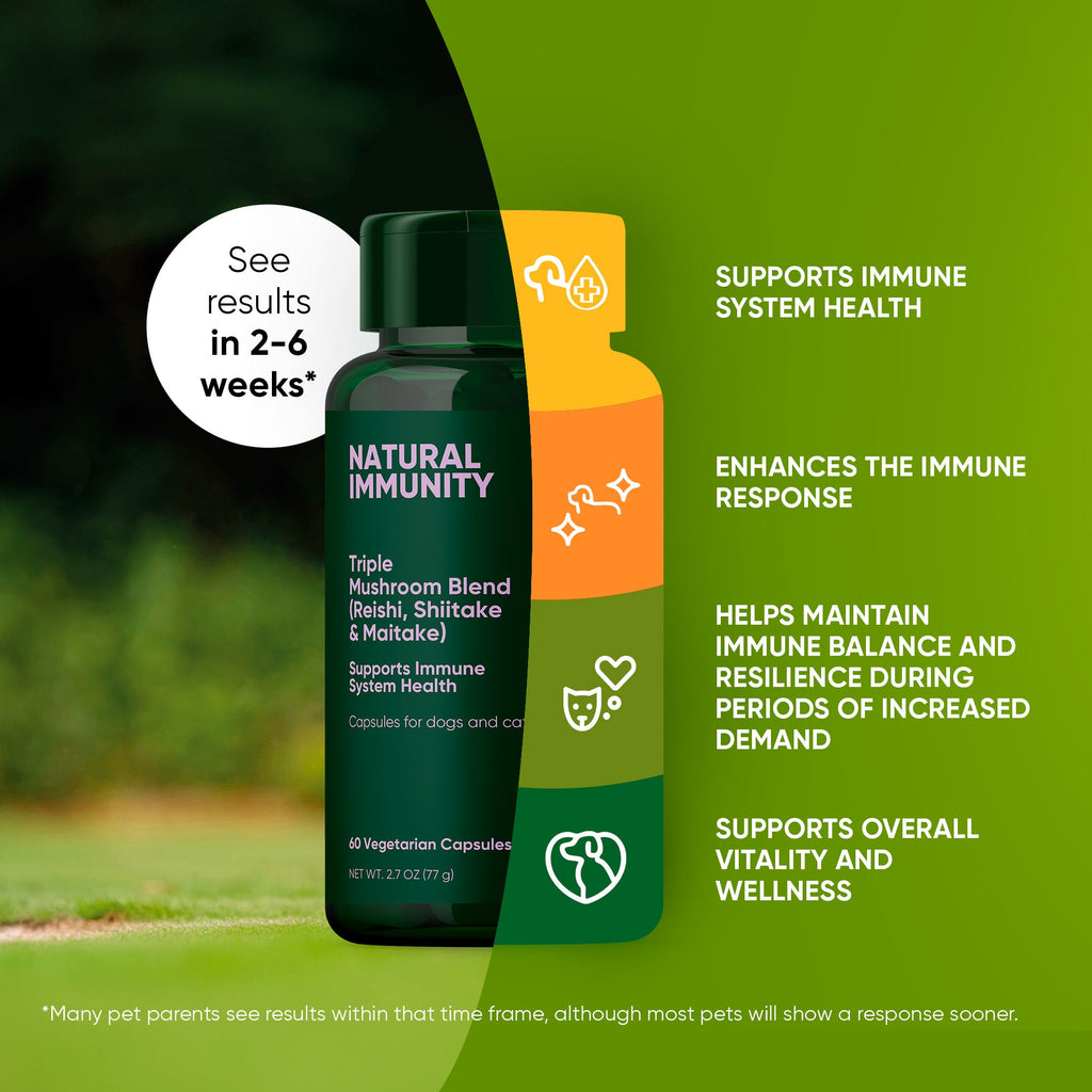 Green Natural Immunity supplement bottle with supportive health benefit graphics
