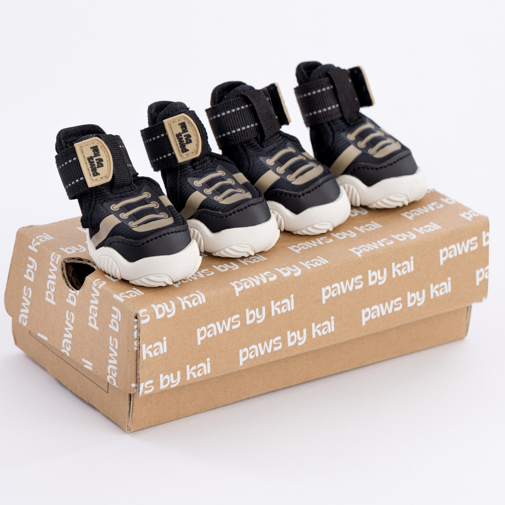 Black dog sneaker with hook-and-loop straps, padded collar, and beige logo patch