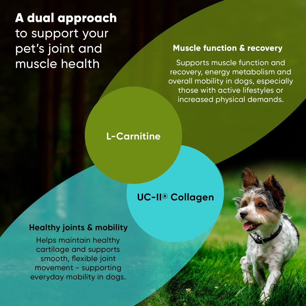 Joint and muscle health ingredient circles labeled L-Carnitine and UC-II Collagen