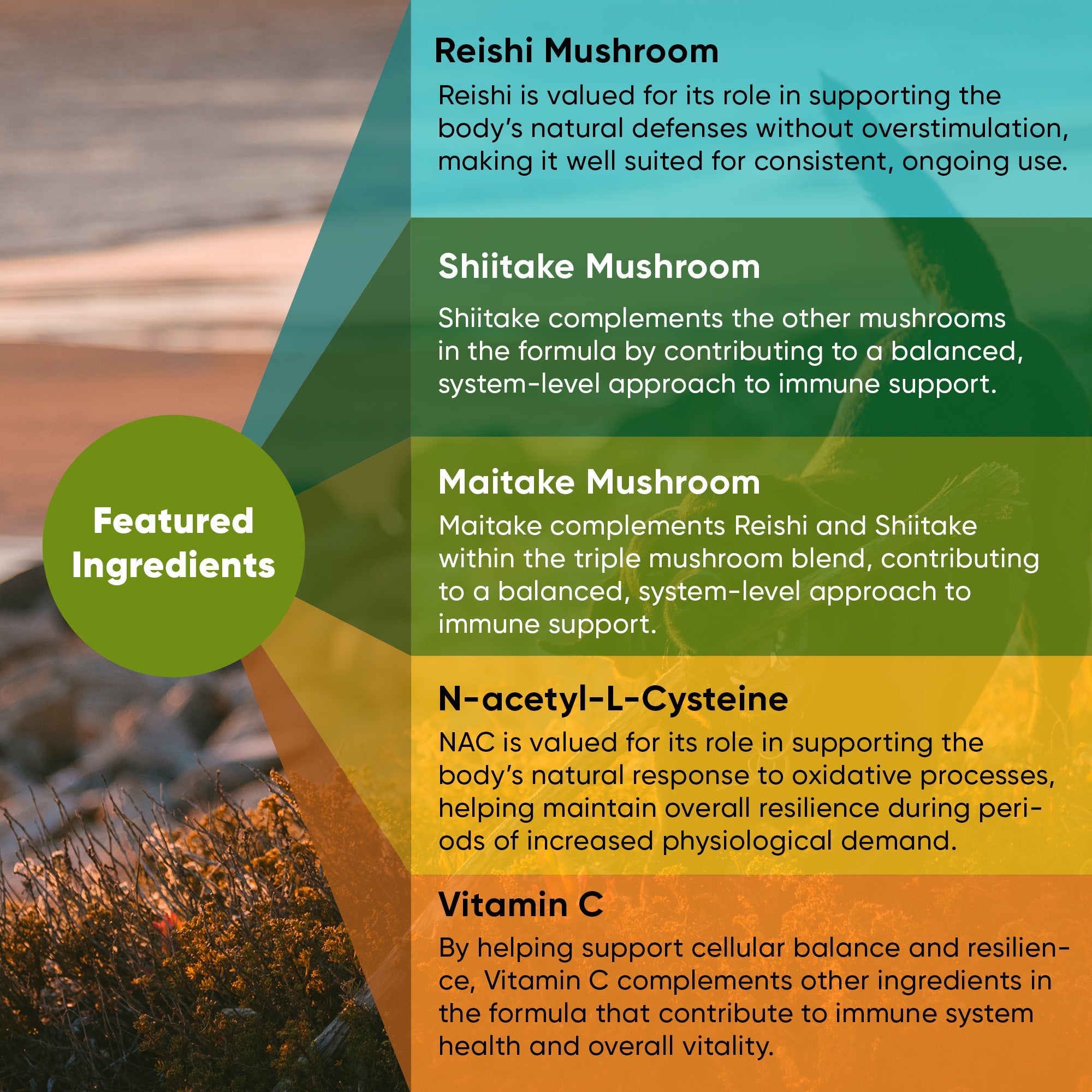 Supplement ingredients panel featuring Reishi, Shiitake, Maitake, NAC, and Vitamin C