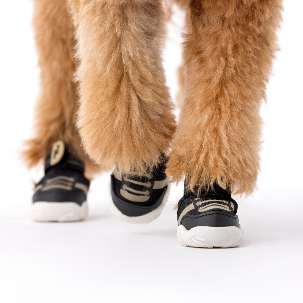 Black dog sneaker on a paw with textured tread sole and hook-and-loop strap