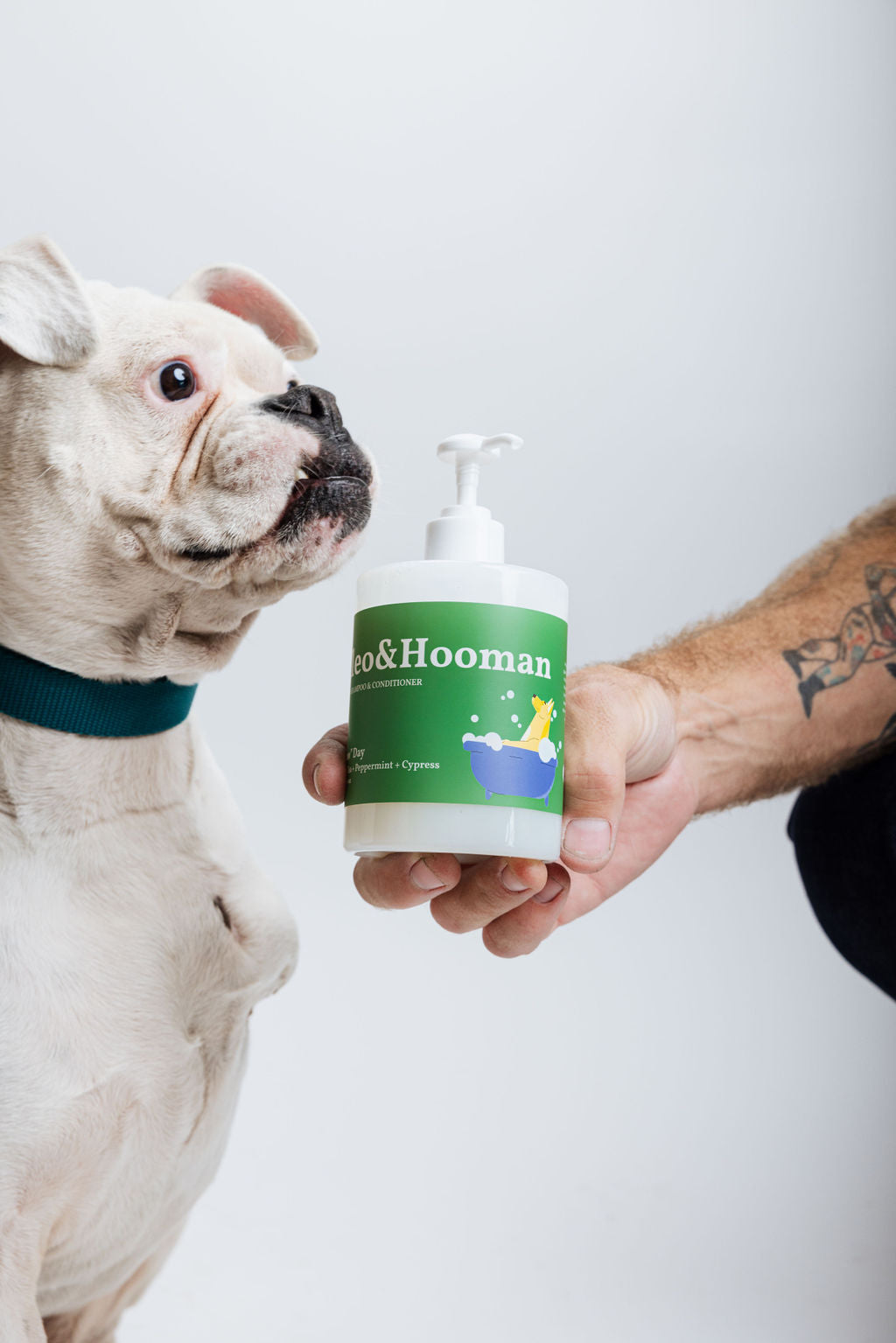 Dog shampoo and conditioner bottle held in a hand, green label with pump