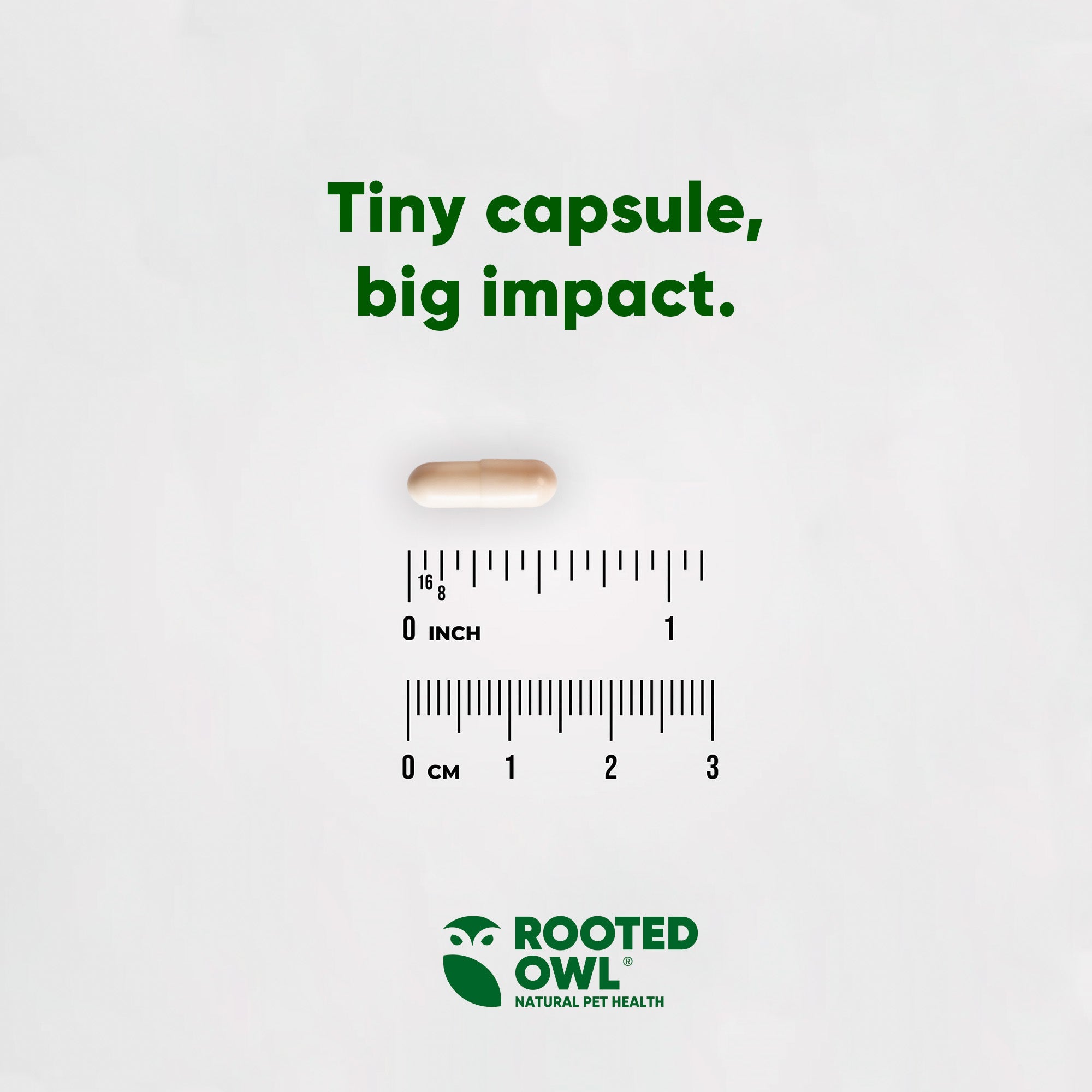 Tiny beige capsule for Weight Management supplement shown with measurement scale