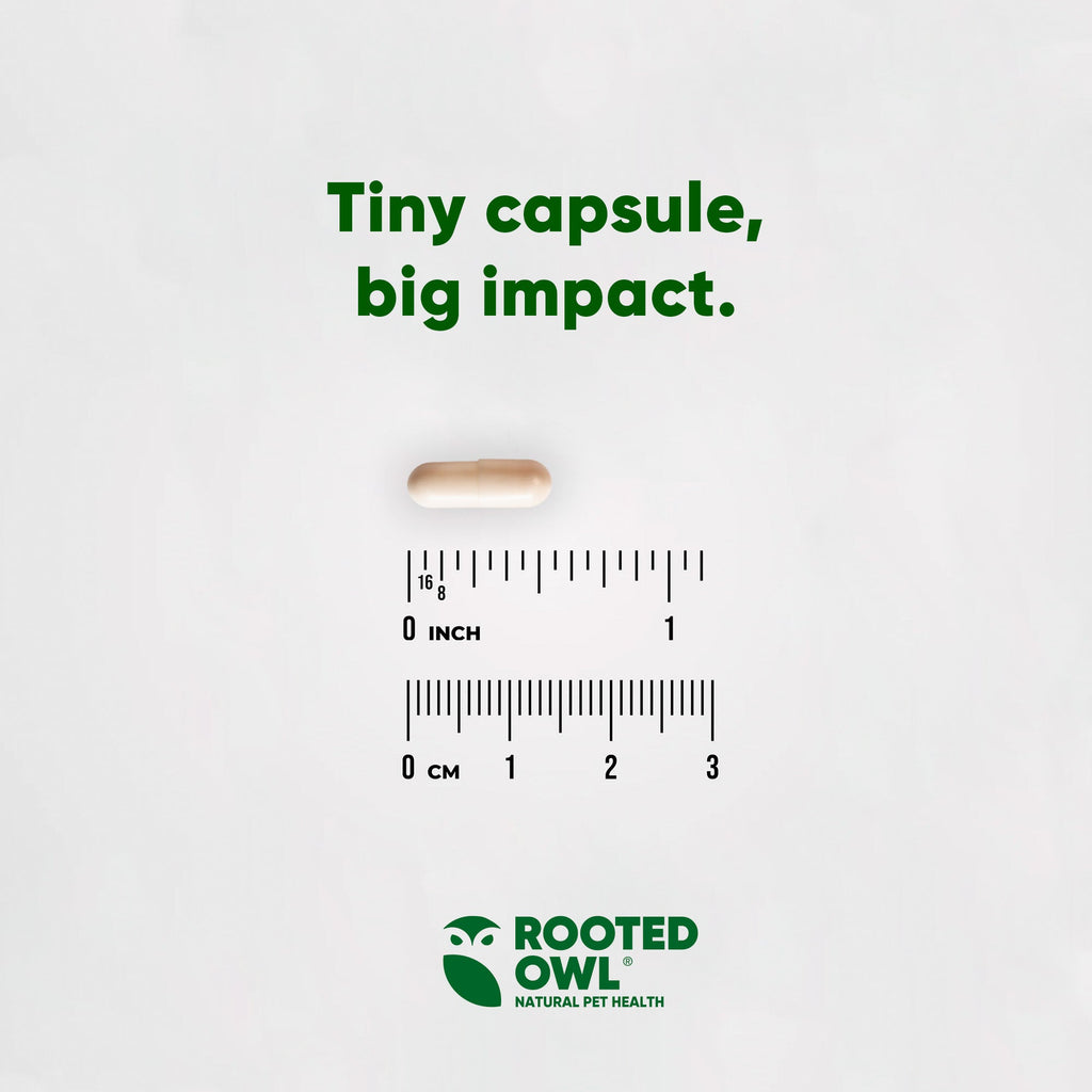 Single pale capsule with size markings and Rooted Owl Natural Pet Health logo