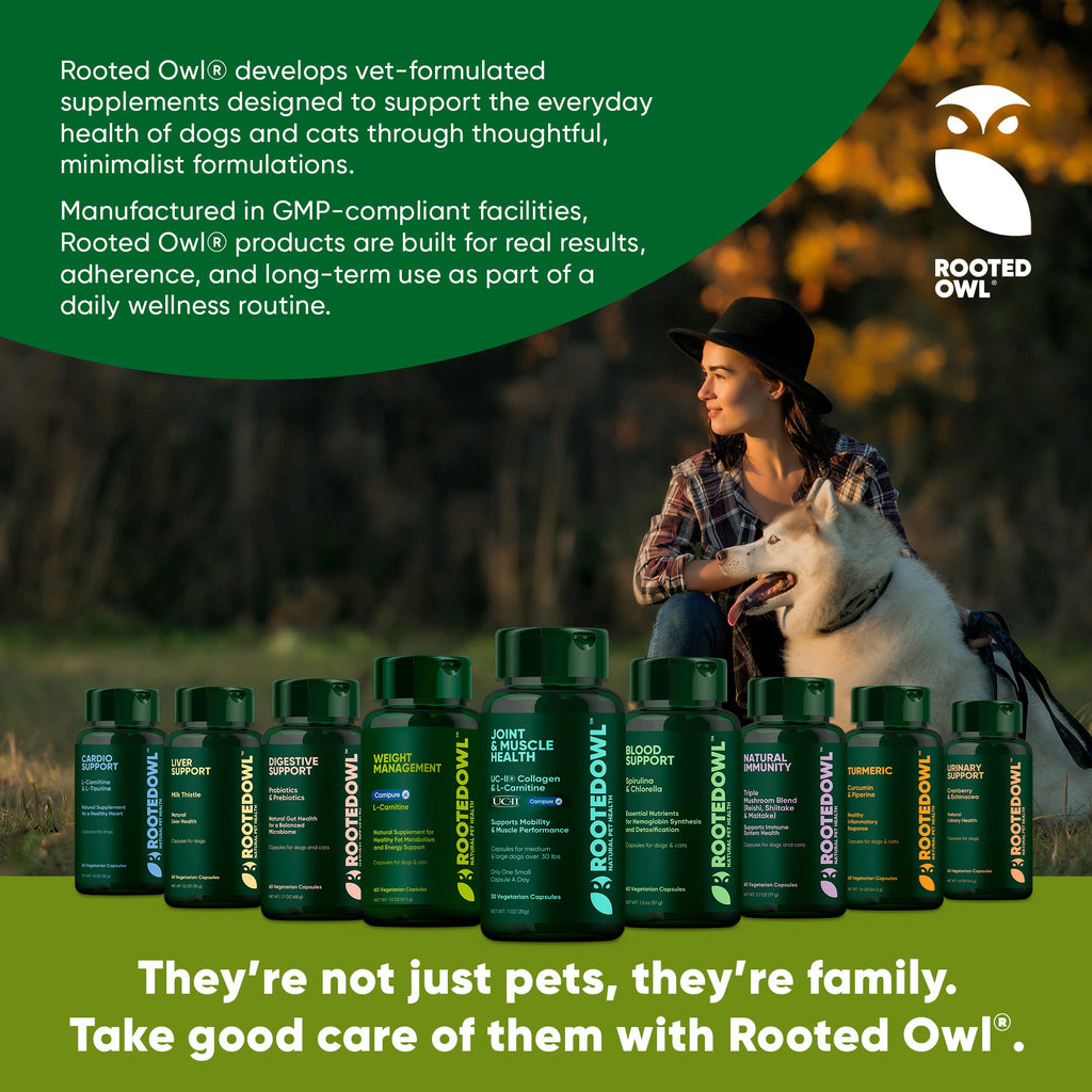 Multiple Rooted Owl supplement bottles lineup with outdoor pet care scene