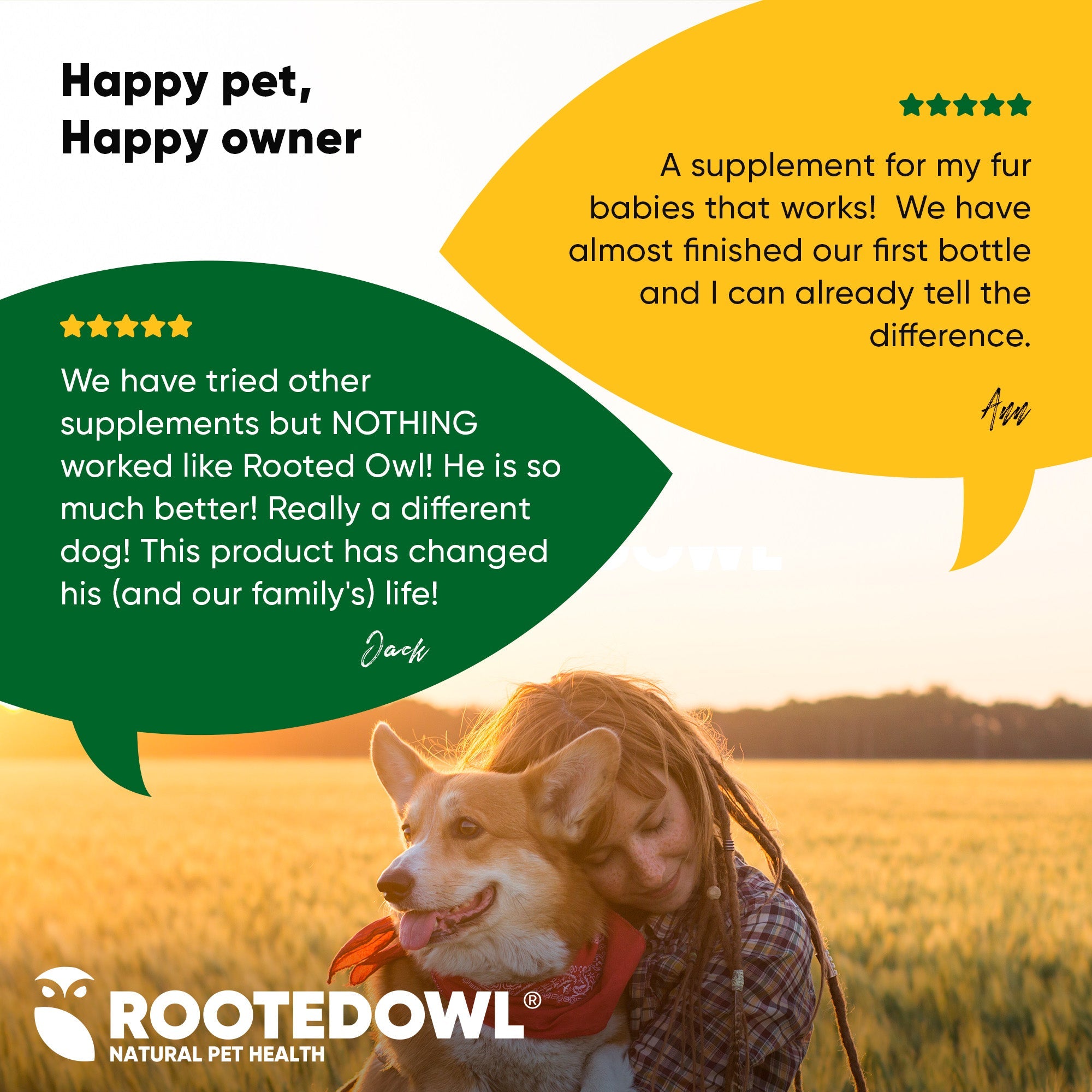 Corgi dog with RootedDowl Natural Pet Health branding and owner review bubbles