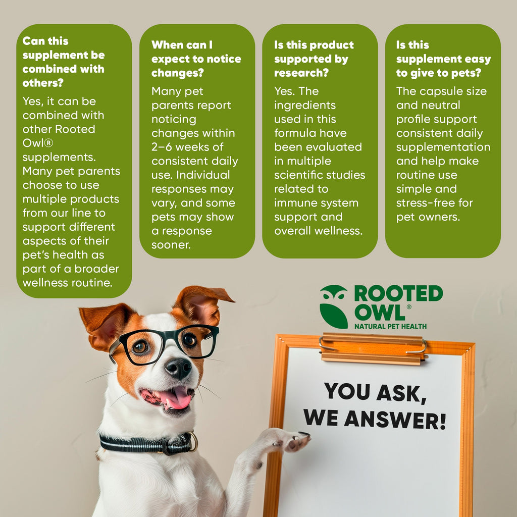 Rooted Owl FAQ infographic with dog and clipboard reading You Ask, We Answer