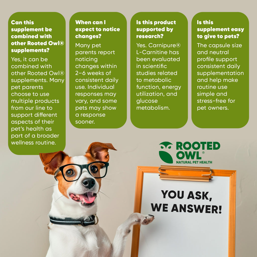 Dog beside a clipboard with Rooted Owl Natural Pet Health branding and FAQ bubbles
