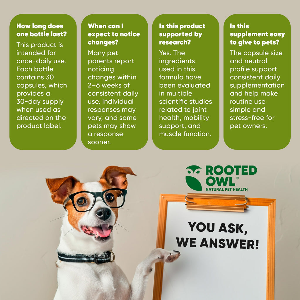 Dog beside clipboard reading “You Ask, We Answer!” with Rooted Owl branding