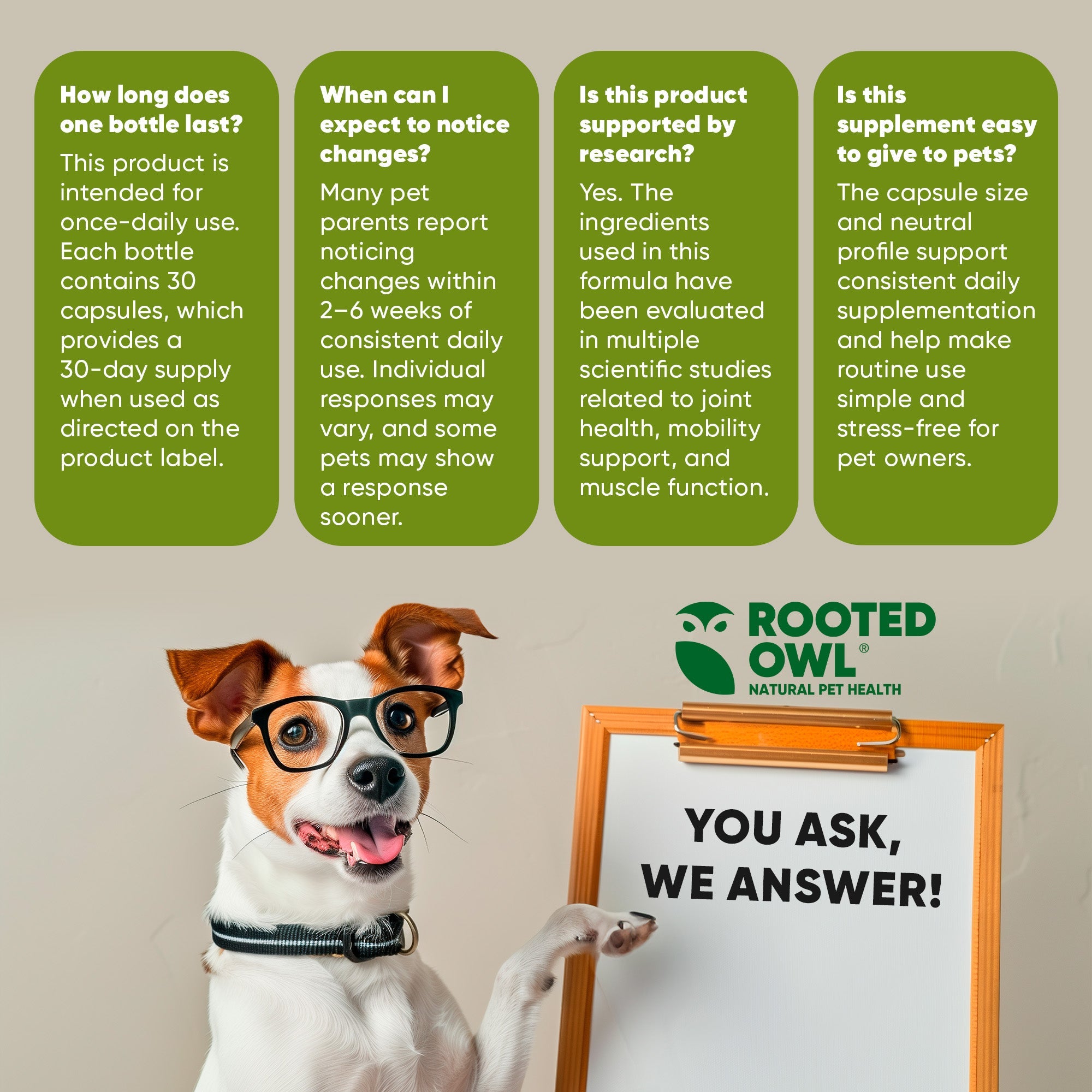 Dog beside clipboard reading “You Ask, We Answer!” with Rooted Owl branding
