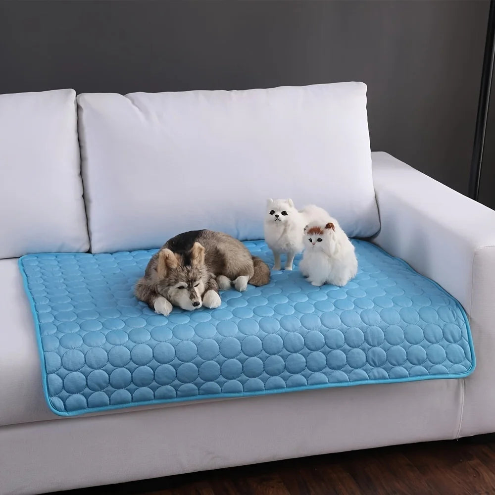 Blue cooling mat for dogs with raised bubble texture, lying on a sofa