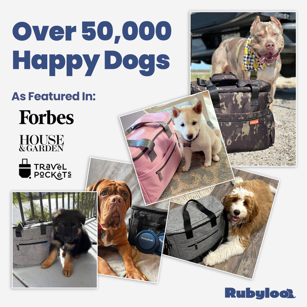 Dog travel bag with side storage and bottle holder, shown with food bowls