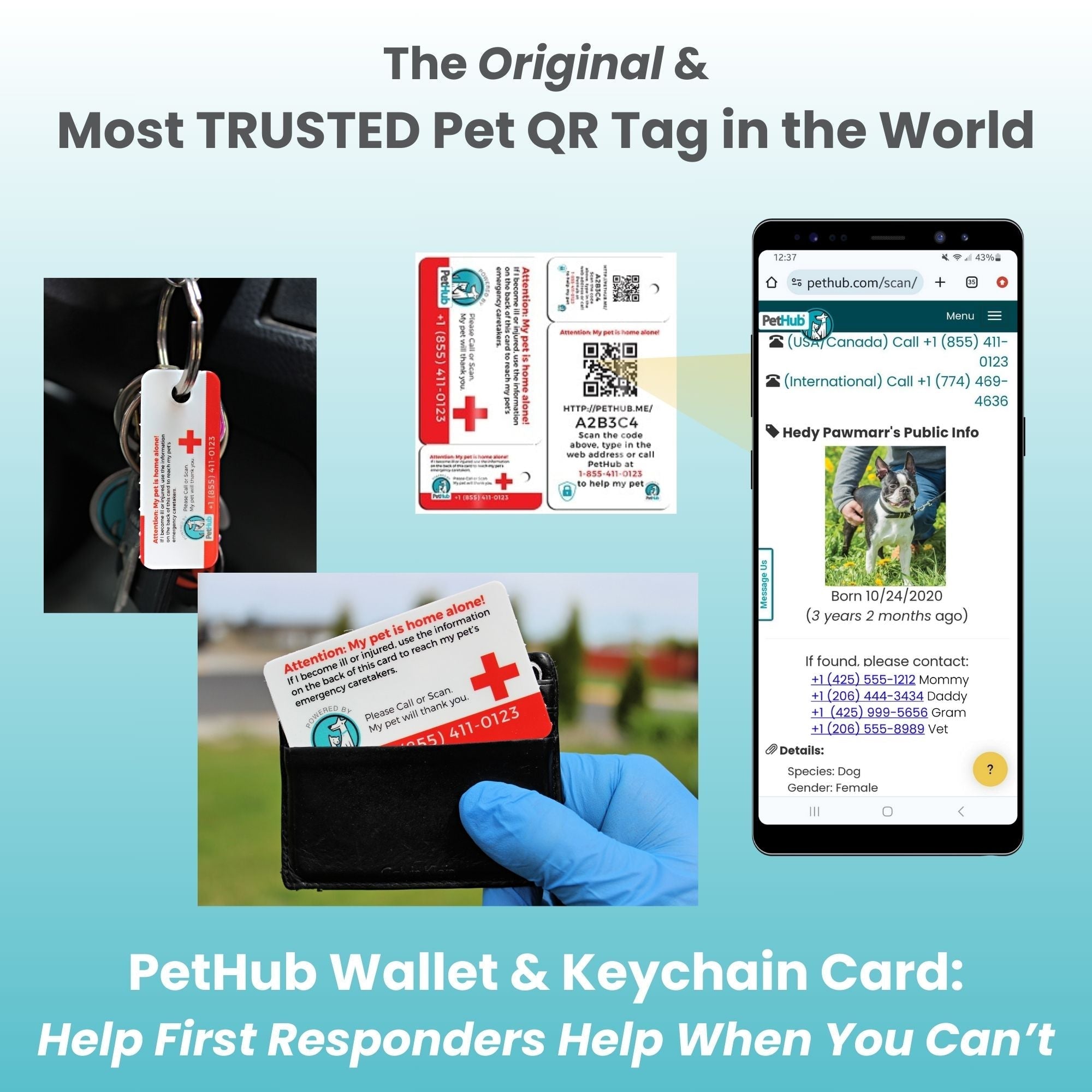 Pet ID wallet and keychain cards with QR code and red cross emergency contact