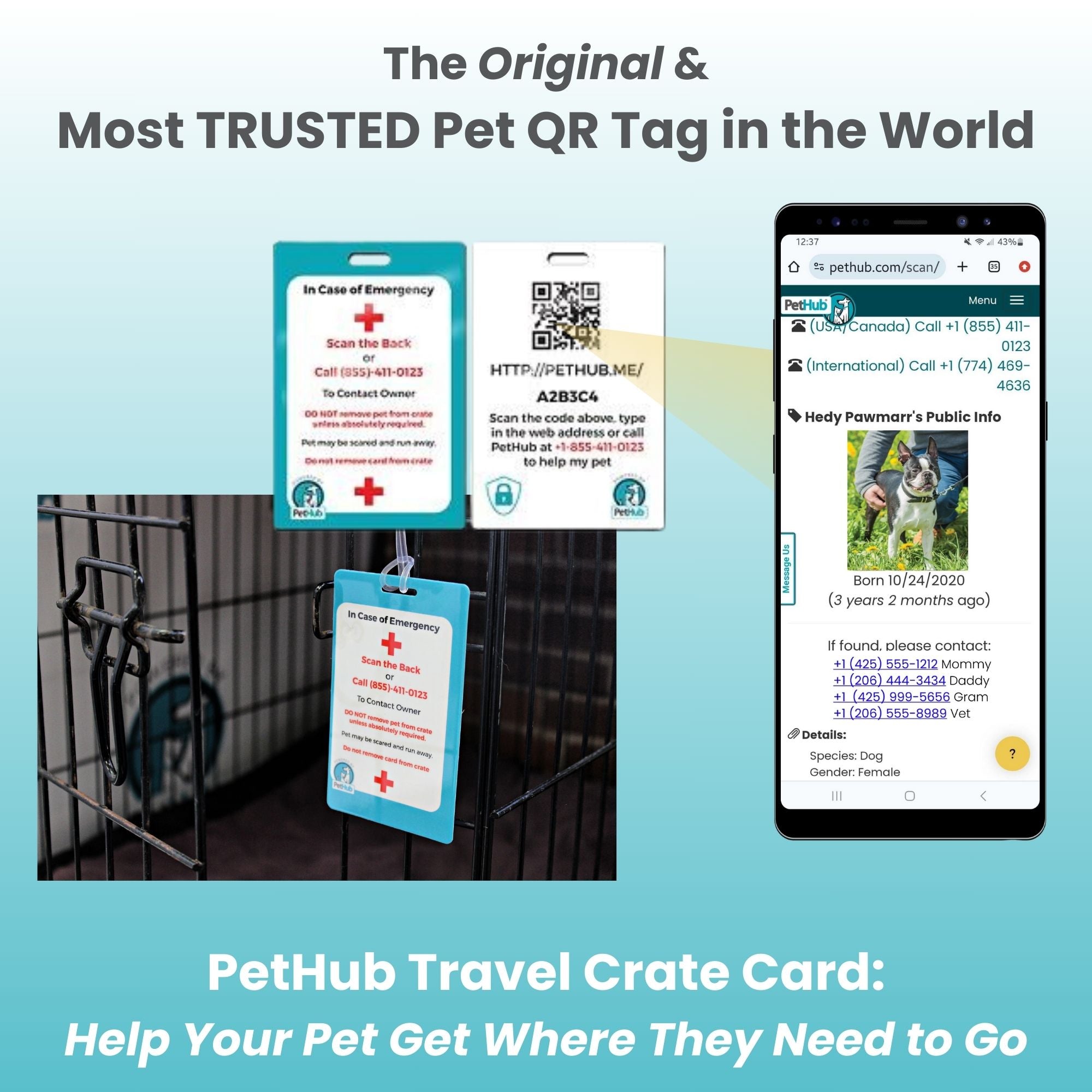 Pet ID travel crate cards with hanging tag, QR code, and red cross emergency panel