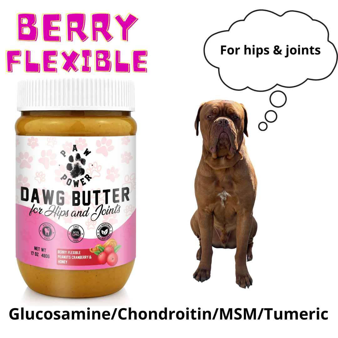 Dog treat jar with white cap and pink label, with speech bubble for hips and joints