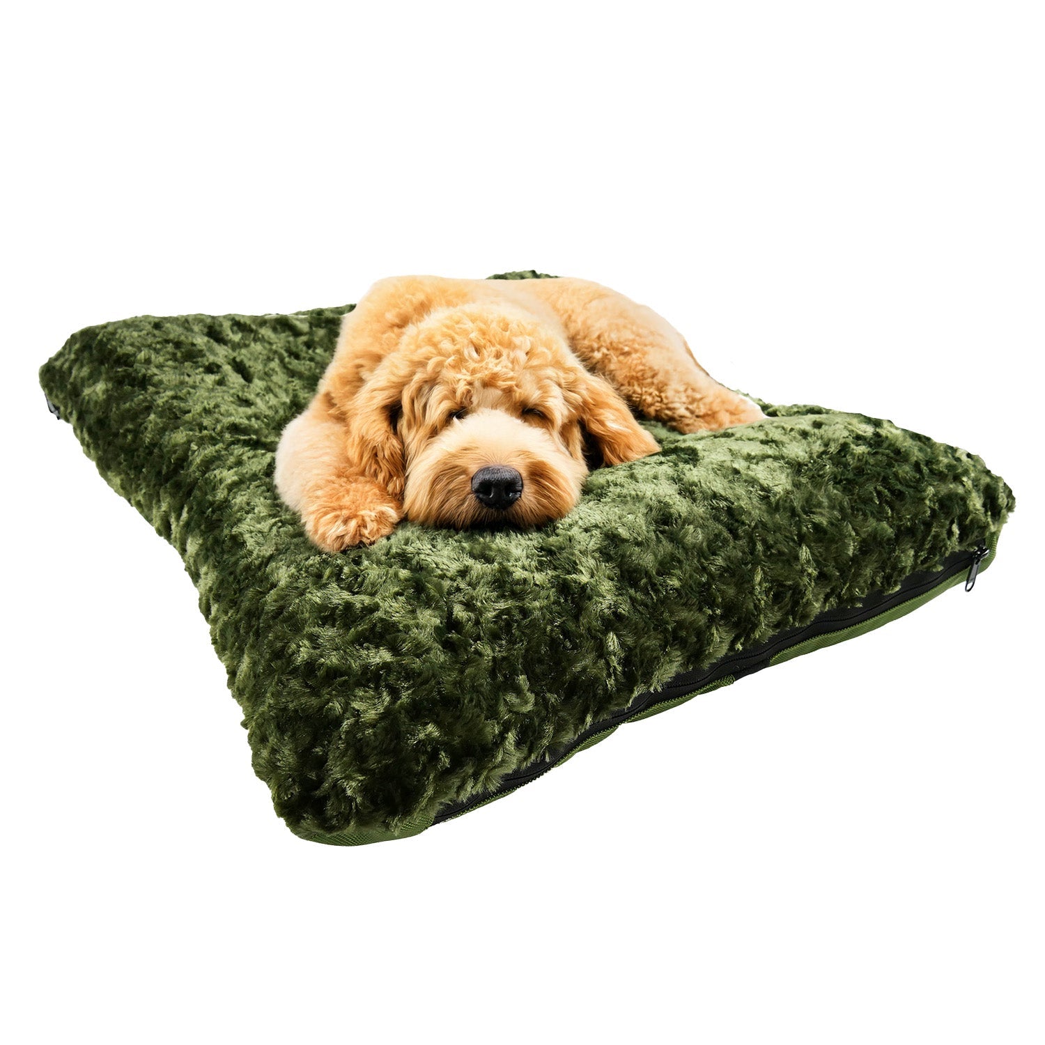 Olive rectangular dog bed with bolstered edges, cloud-like faux fur top with resting dog