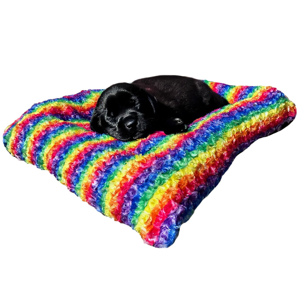 Rectangle bolstered dog bed in rainbow plush with thick cushioned sides