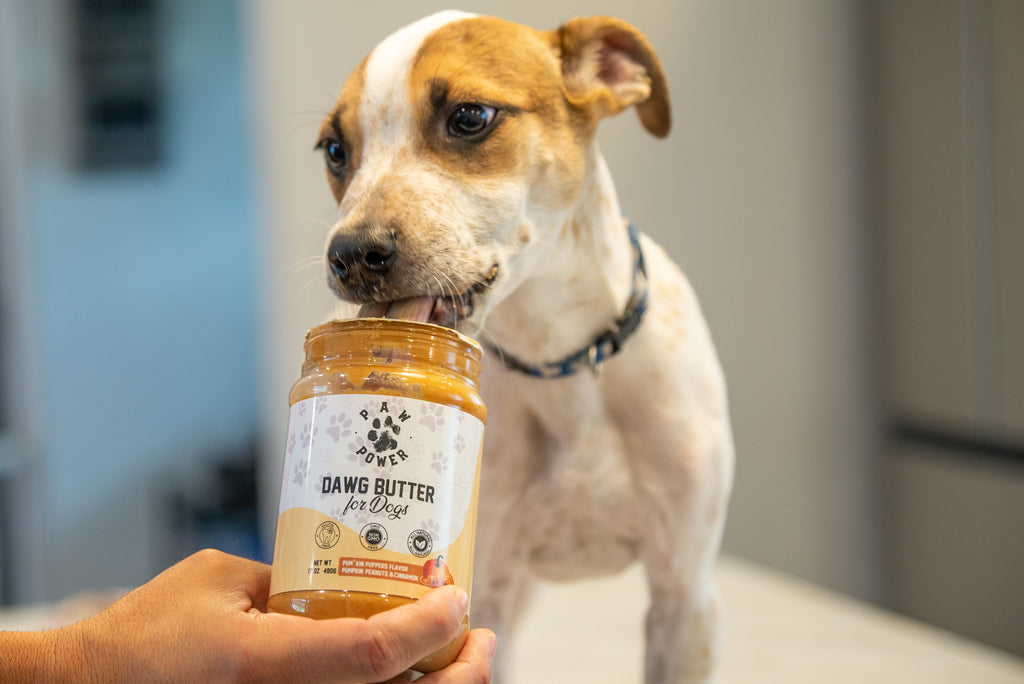 Person holding Dawg Butter for Dogs jar while a dog looks on