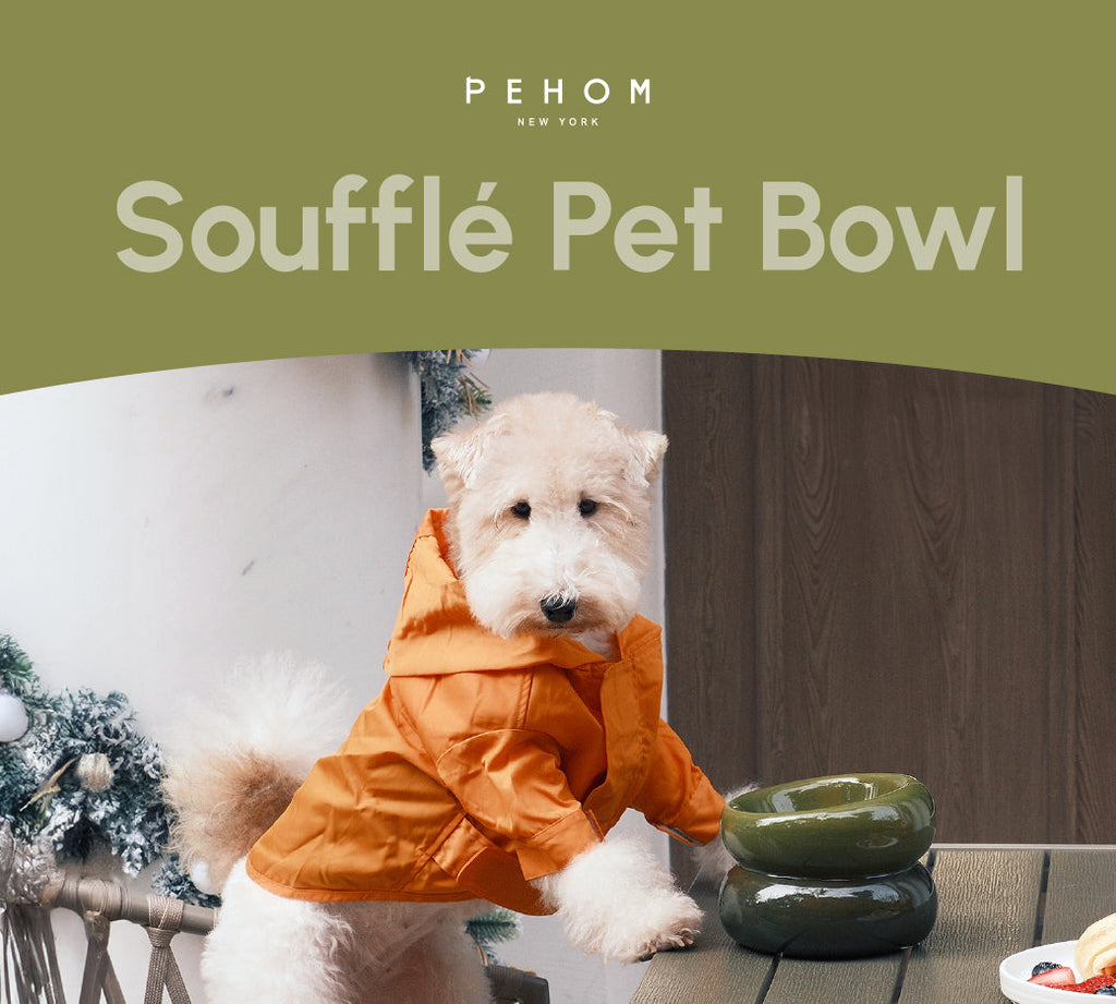 Avocado green soufflé-style pet bowl beside a small white dog
