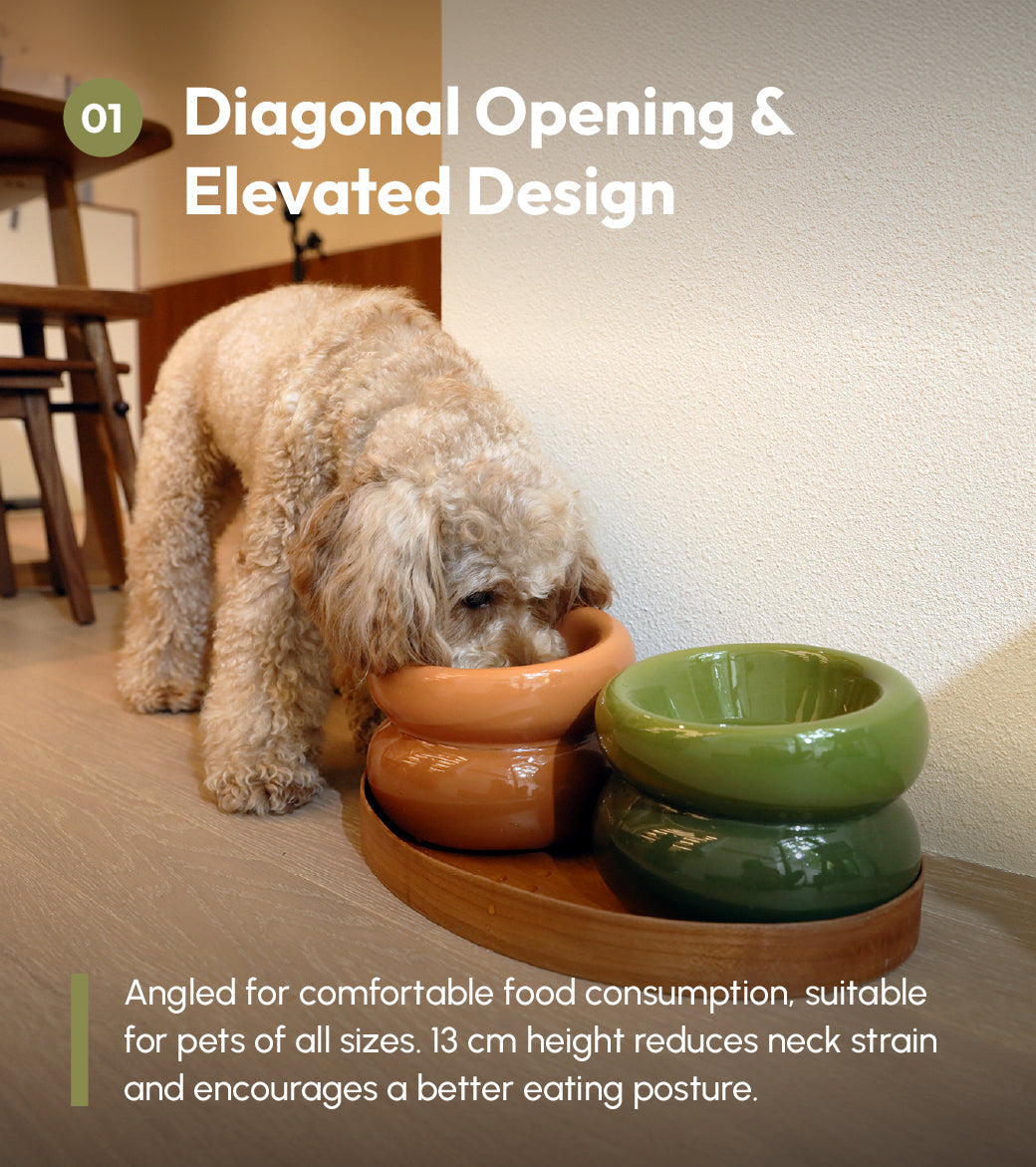 Avocado green soufflé-style pet bowl with angled opening and stacked two-tier shape