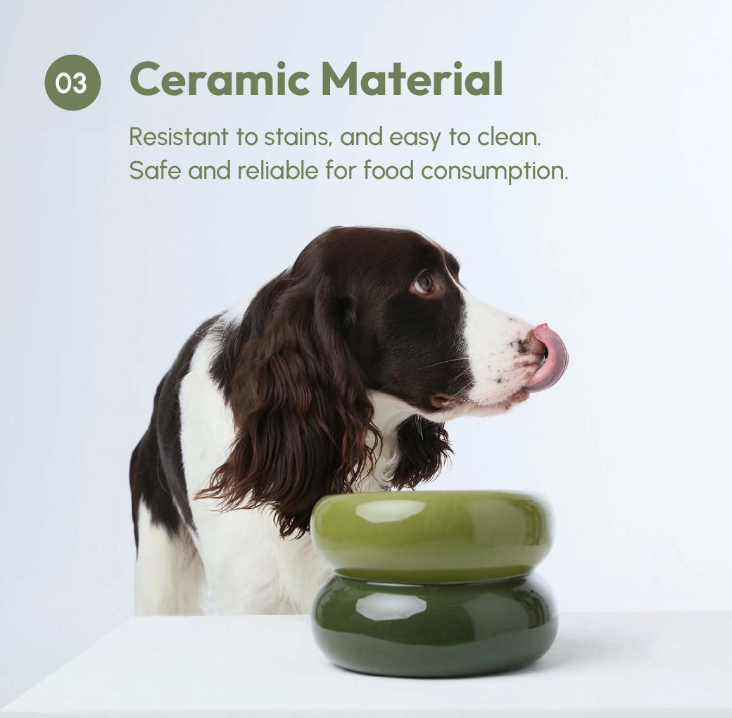 Avocado green soufflé-style pet bowl beside a brown-and-white dog