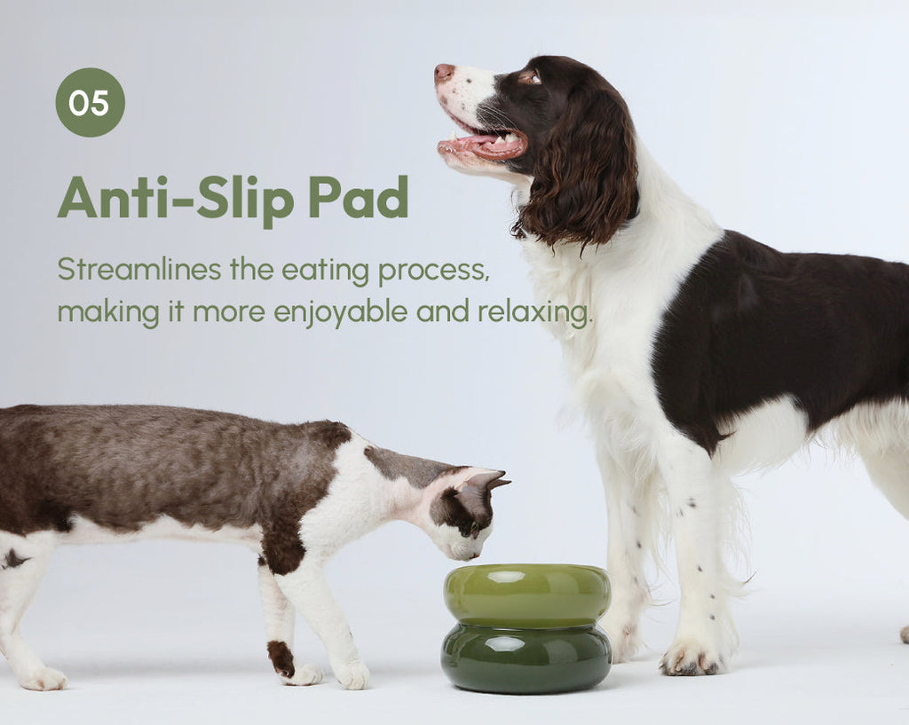 Avocado green soufflé pet bowl on floor with thick anti-slip base and empty top dish