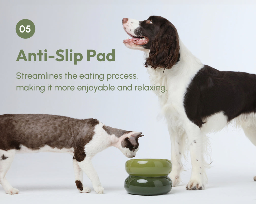 Avocado green soufflé pet bowl on floor with thick anti-slip base and empty top dish