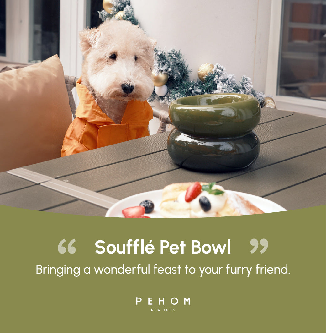 Avocado green soufflé pet bowl on patio table, glossy double dish with sturdy base