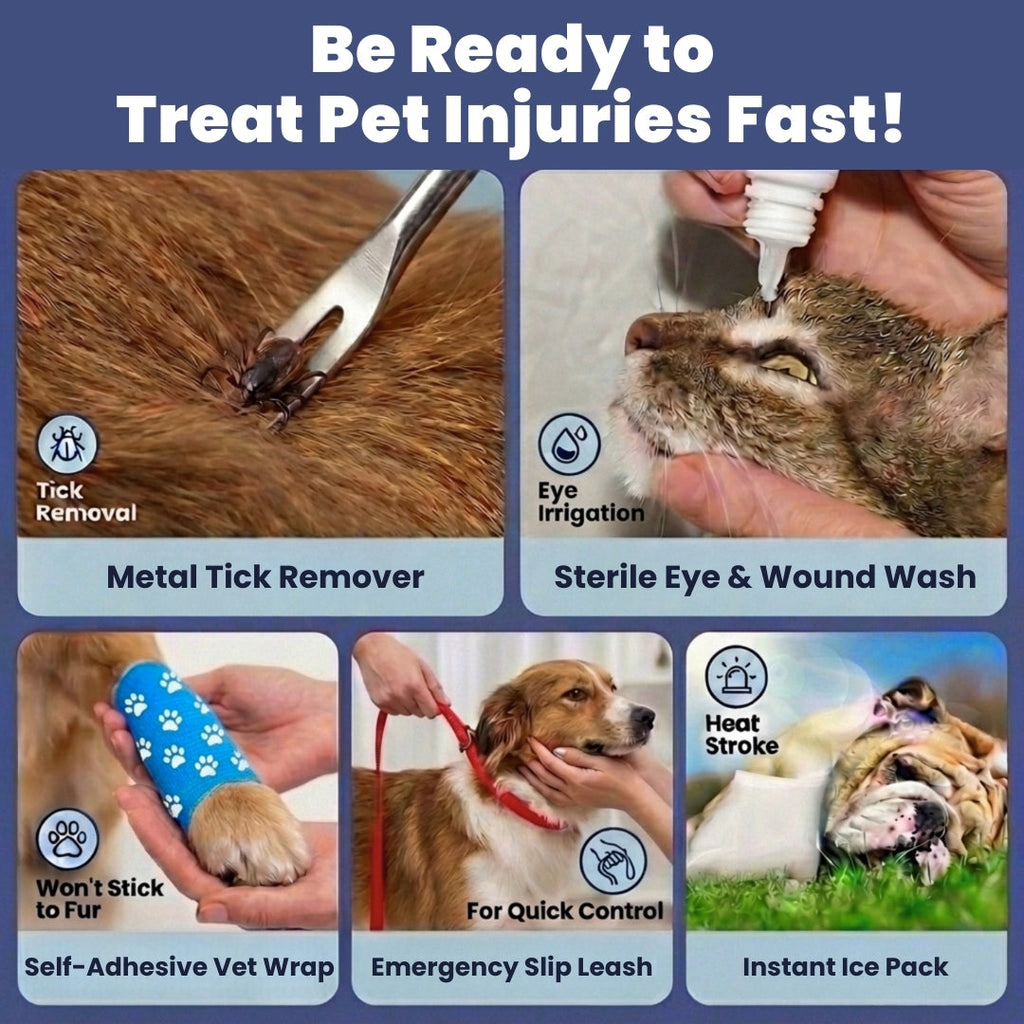 Pet first aid kit contents collage showing supplies for treating ticks, eyes, and wounds
