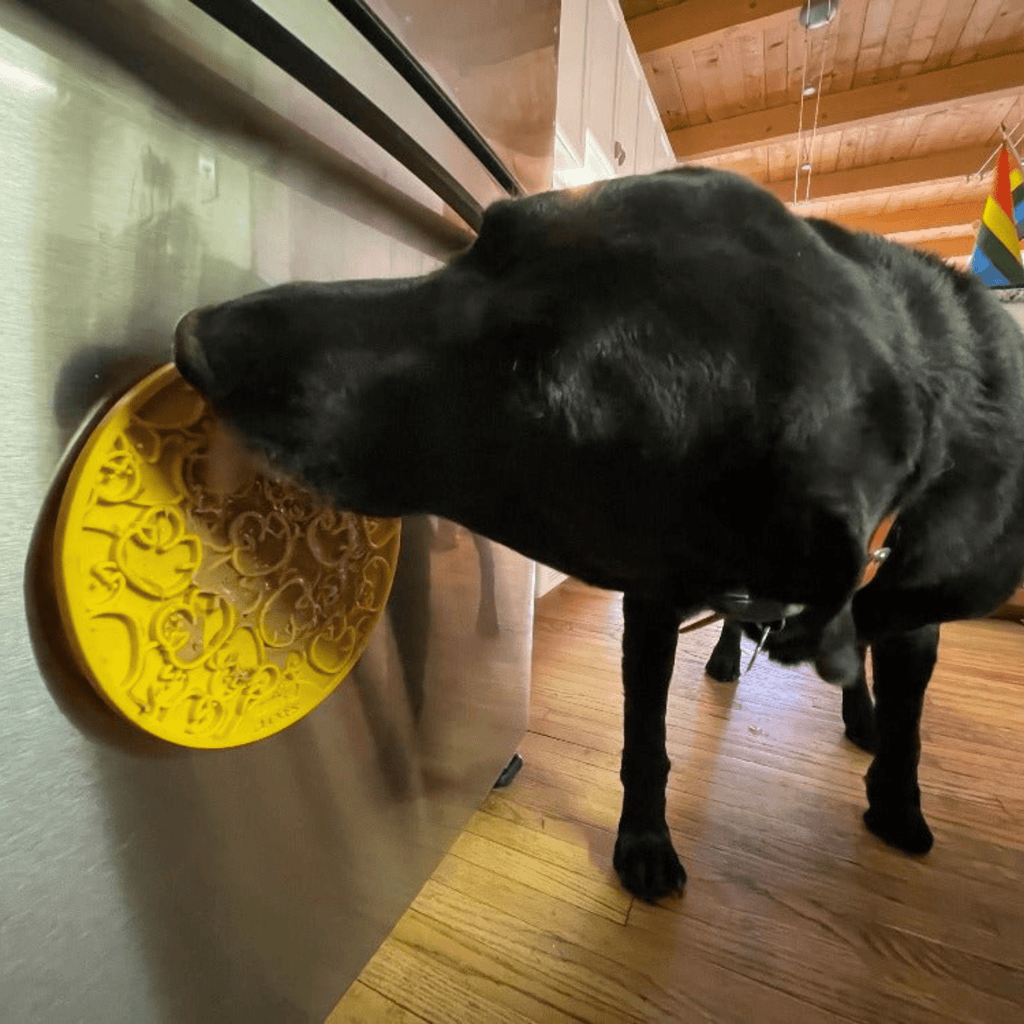 Black dog licking a yellow suction-cup lick mat stuck to a surface