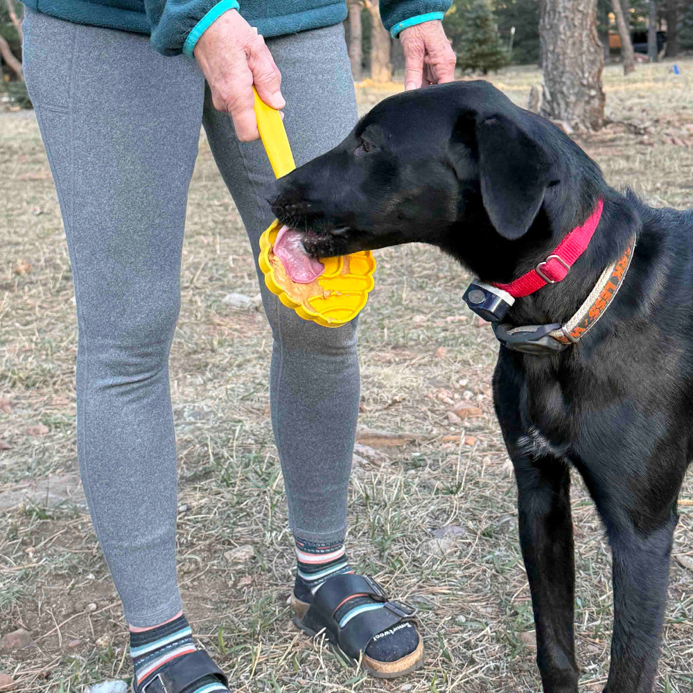 Hand-held yellow lick stick with ridged head, being licked by a black dog