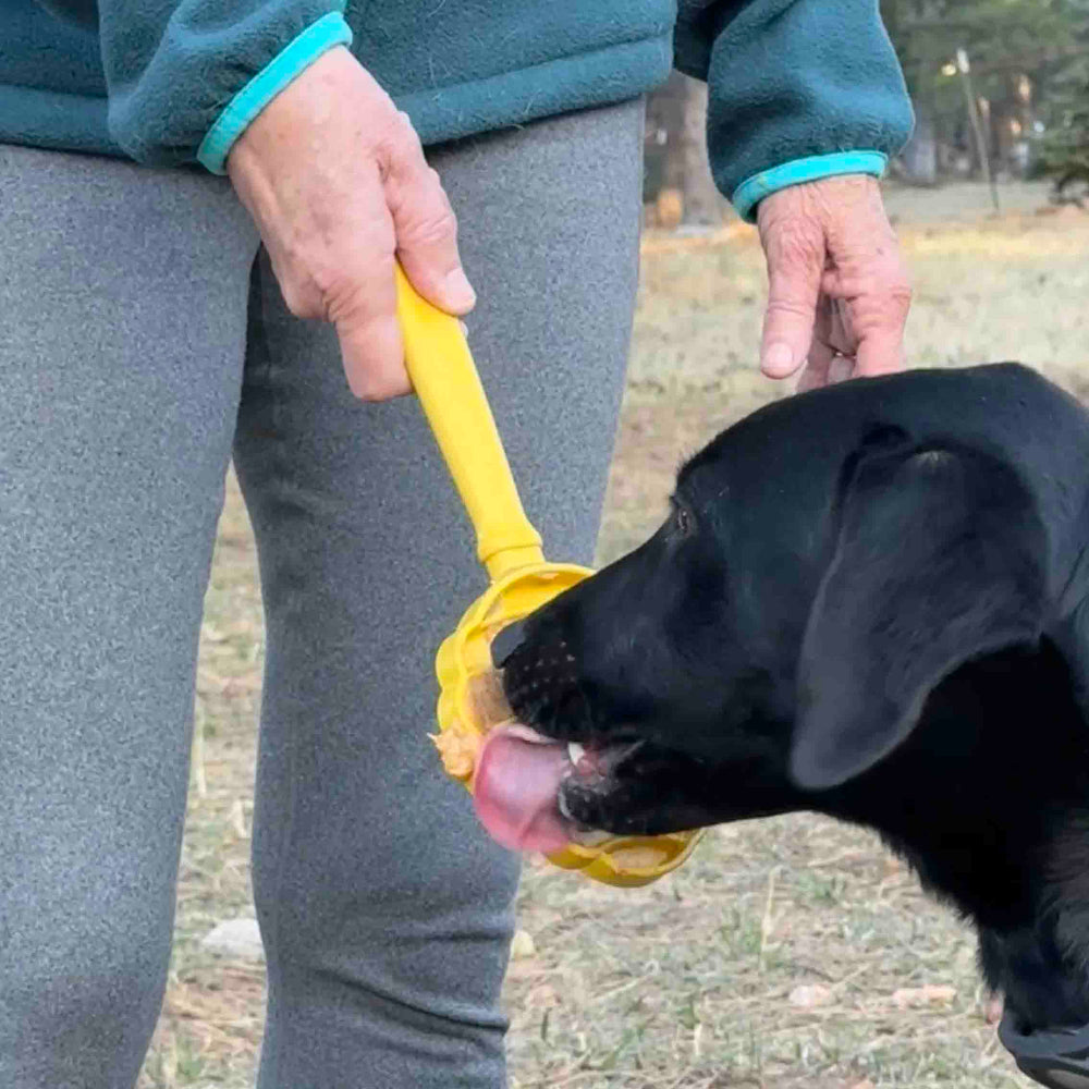 Hand-held yellow lick stick with textured head, dripping and being licked by a black dog