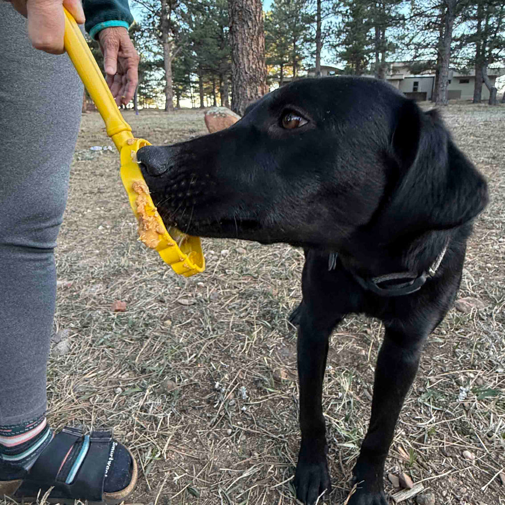 Hand-held yellow lick stick with textured head, being licked by a black dog