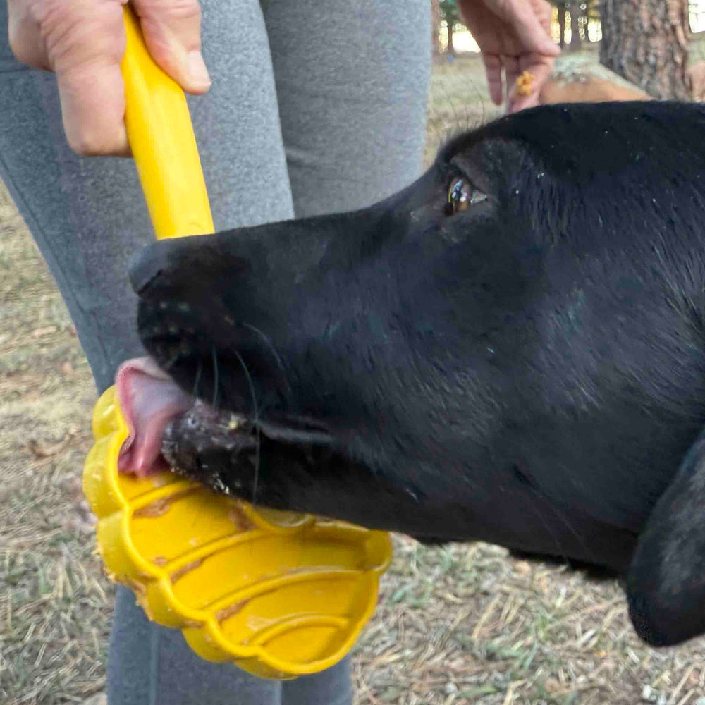 Hand-held yellow lick stick with honeycomb head, being licked by a black dog