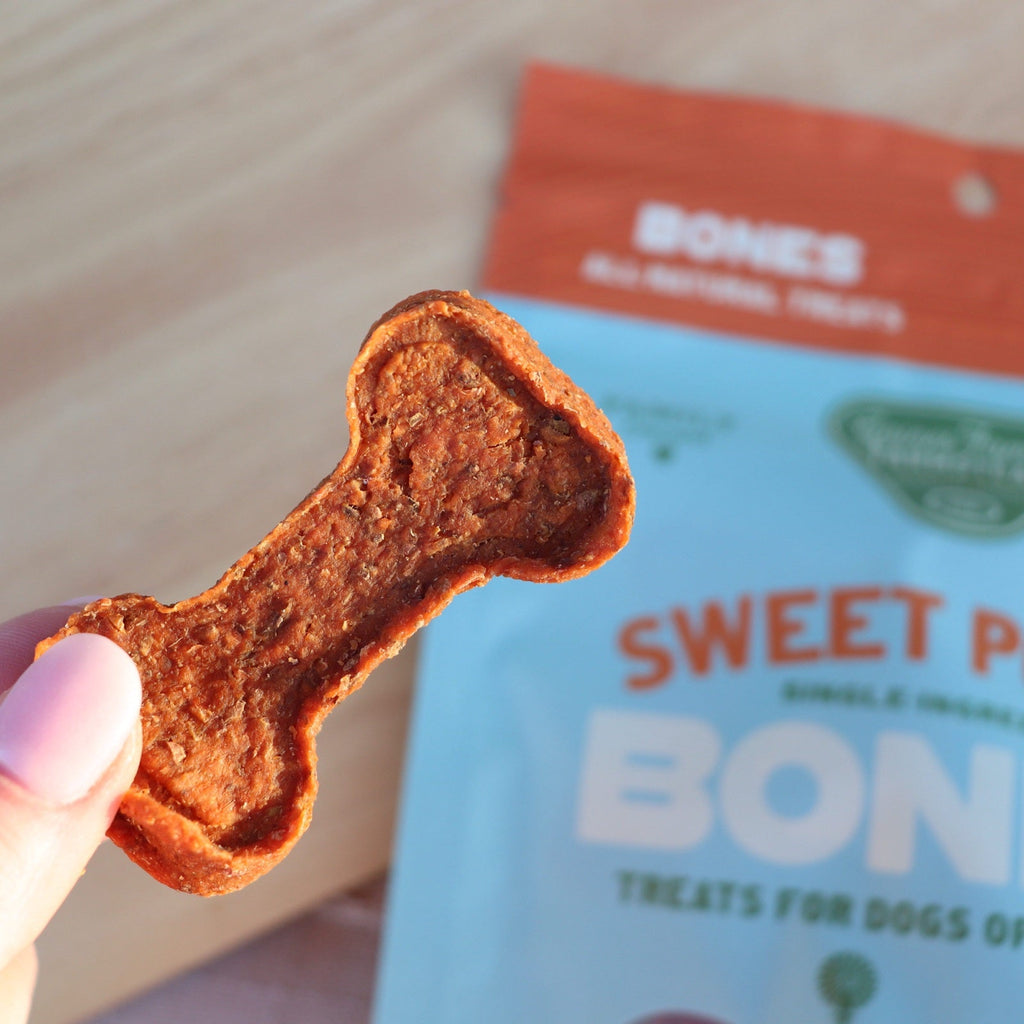 Single sweet potato dog treat bone with textured surface held in fingers