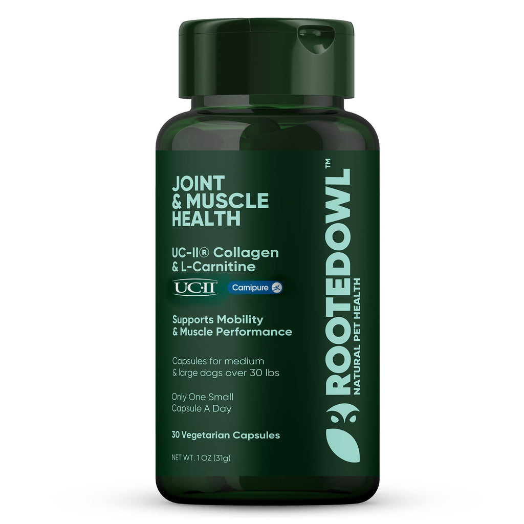 Dark green Joint & Muscle Health supplement bottle, 30 vegetarian capsules for dogs