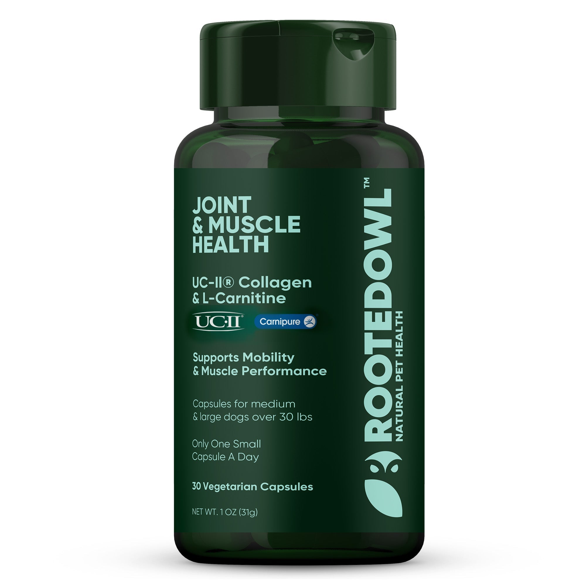 Dark green Joint & Muscle Health supplement bottle, 30 vegetarian capsules for dogs