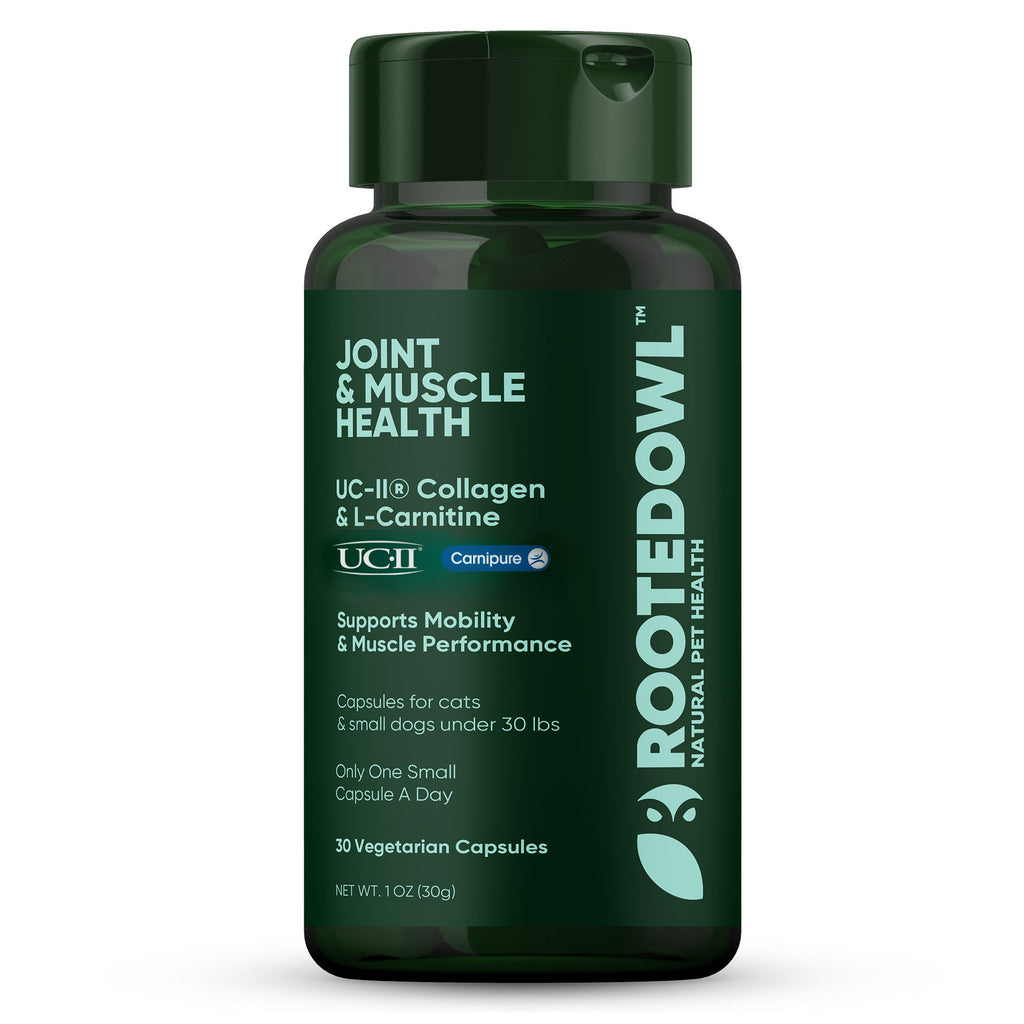 Green joint and muscle health supplement bottle with flip-top cap