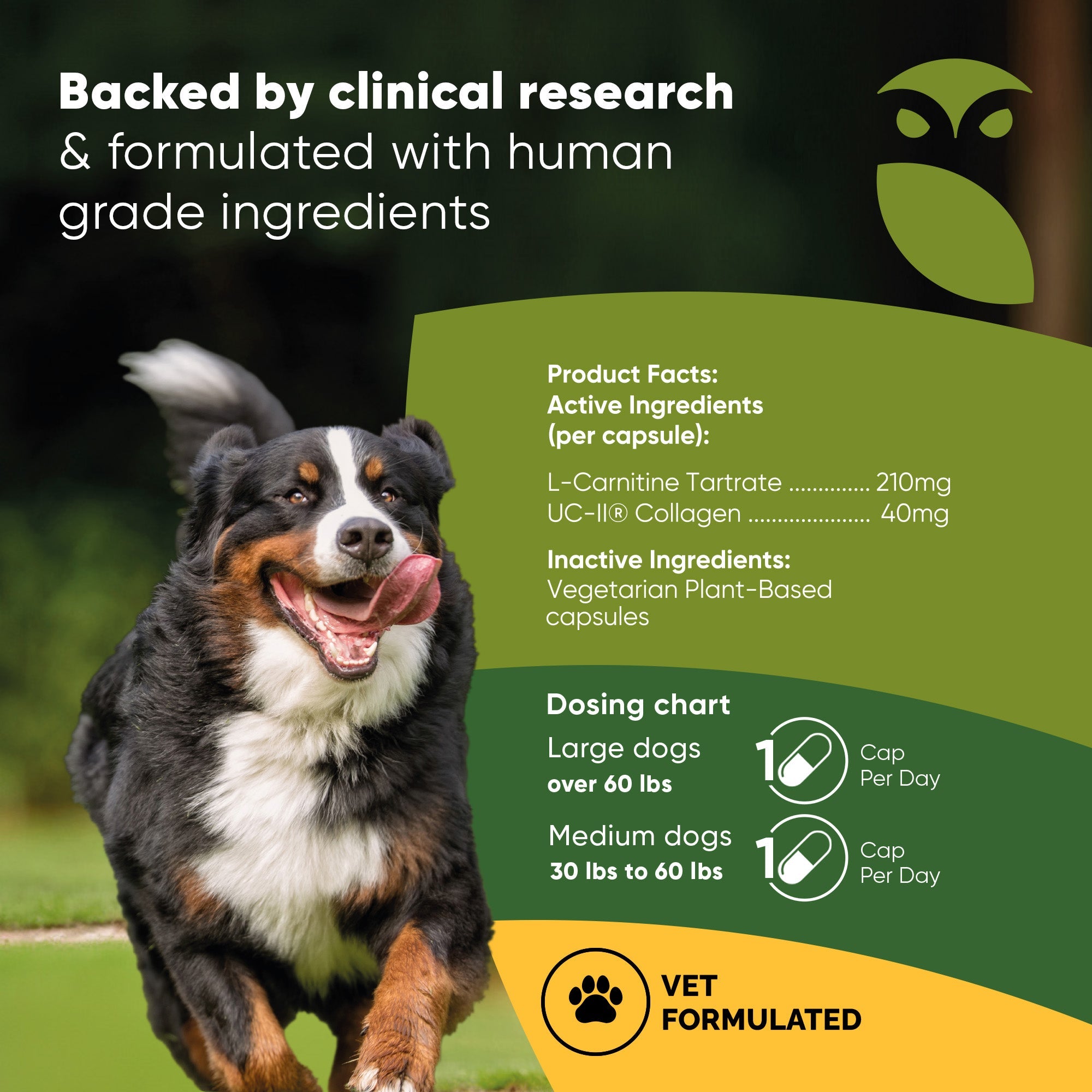 Joint & Muscle Health supplement label with dosing chart for large and medium dogs