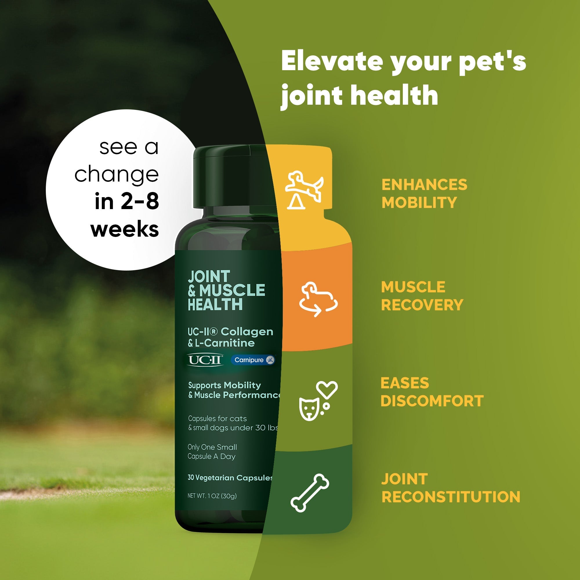 Dark green Joint & Muscle Health supplement bottle with benefit icons