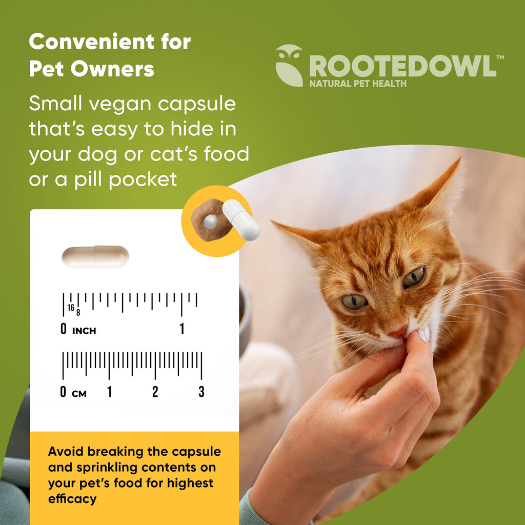 Small vegan supplement capsule for hiding in pet food or a pill pocket