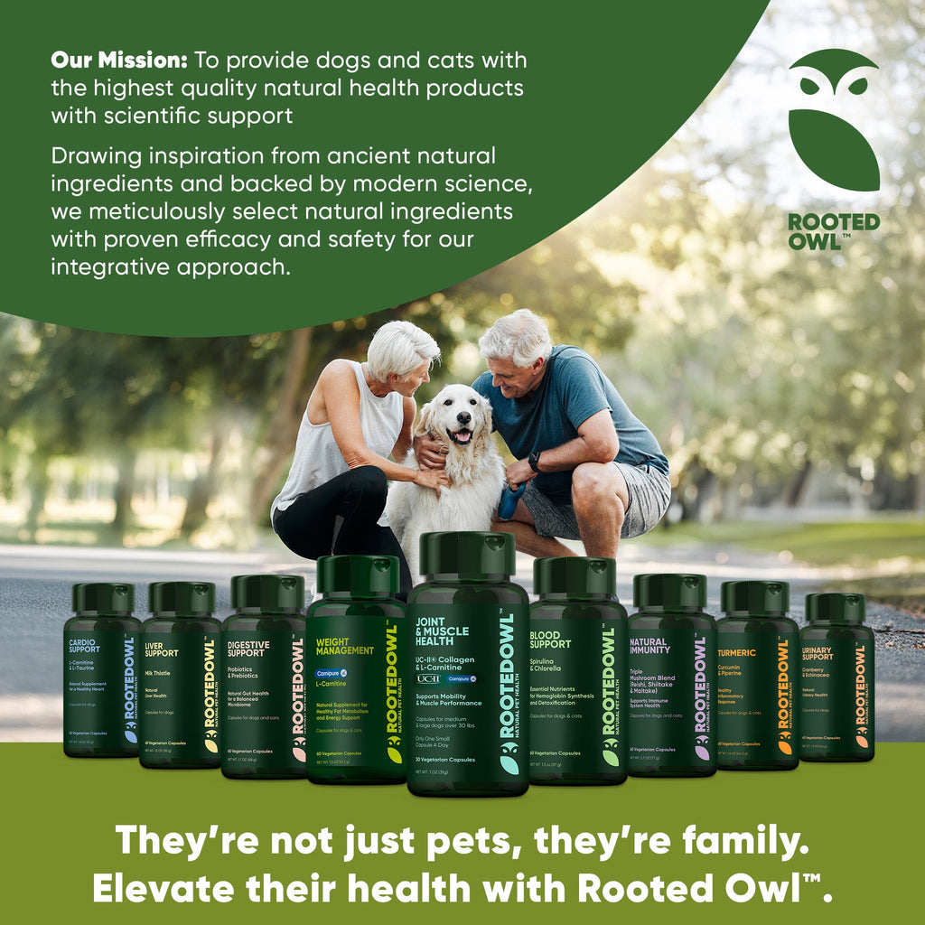 Set of Rooted Owl natural pet health supplement bottles, including Joint & Muscle Health